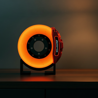 Mercedes AMG Brake Disc Lamp